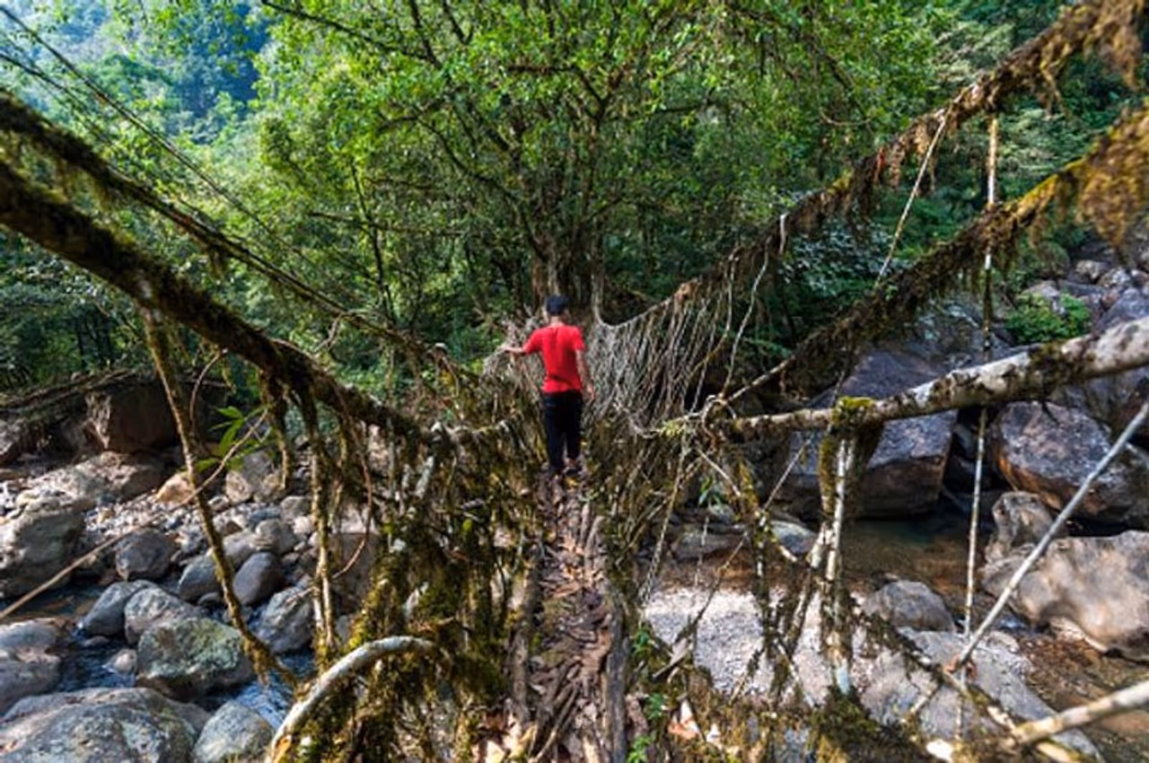 Image Credit: Getty Images