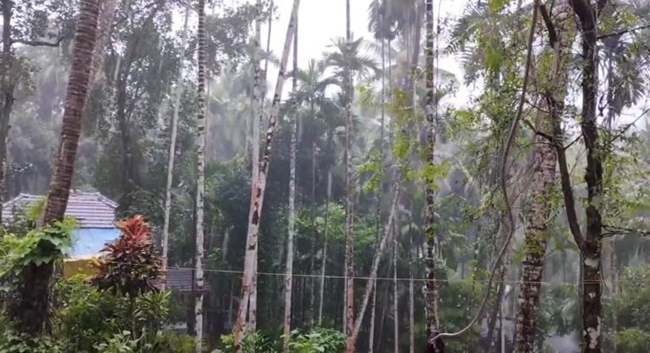 इन जिलों में येलो अलर्ट इन जिलों में येलो अलर्ट