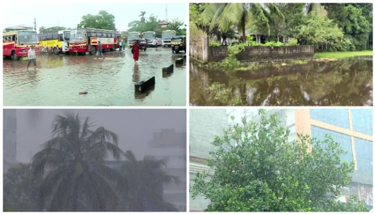 rain alerts rain alerts