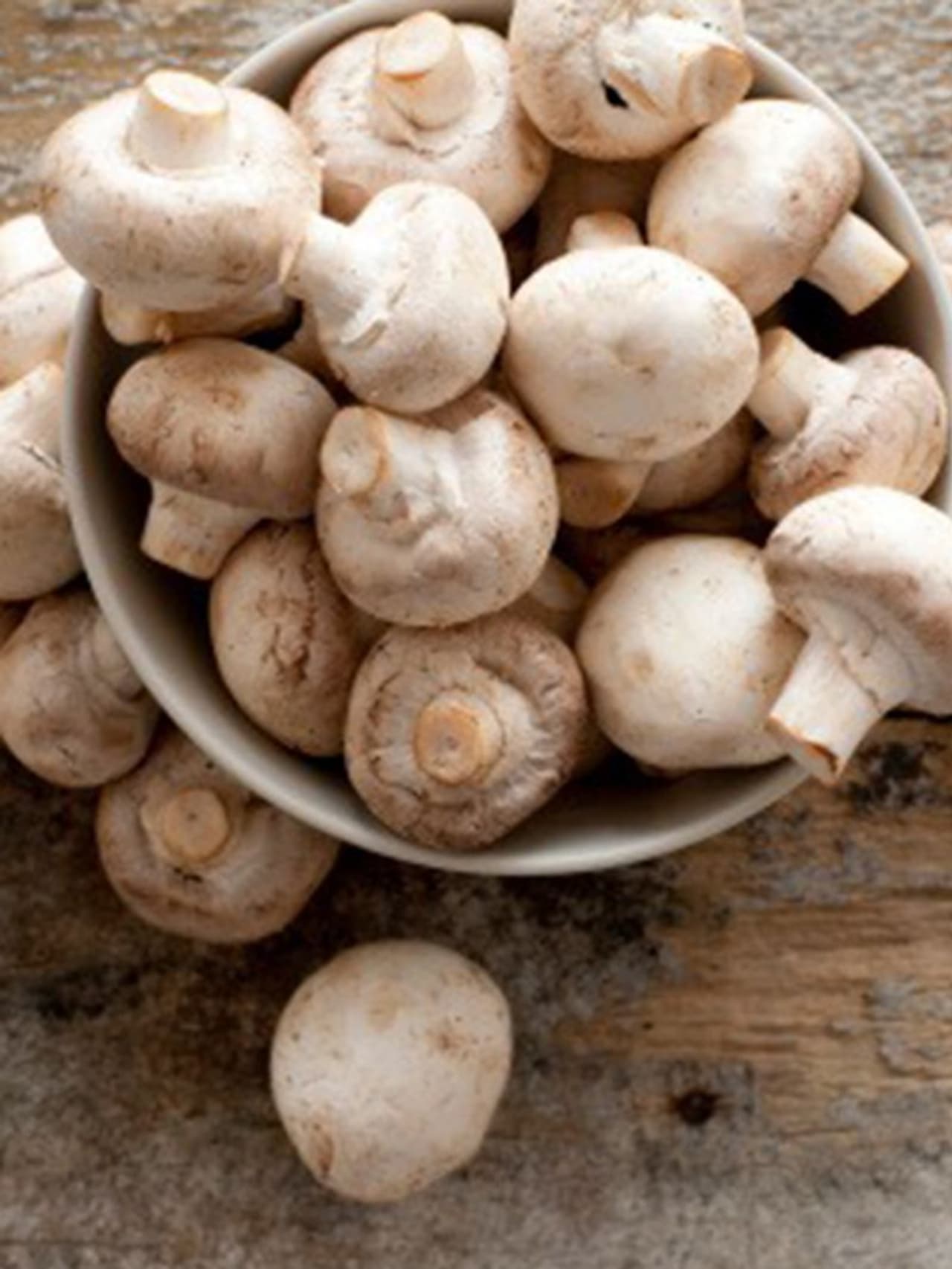 Avoid Mushrooms In Rainy Season In Tamil