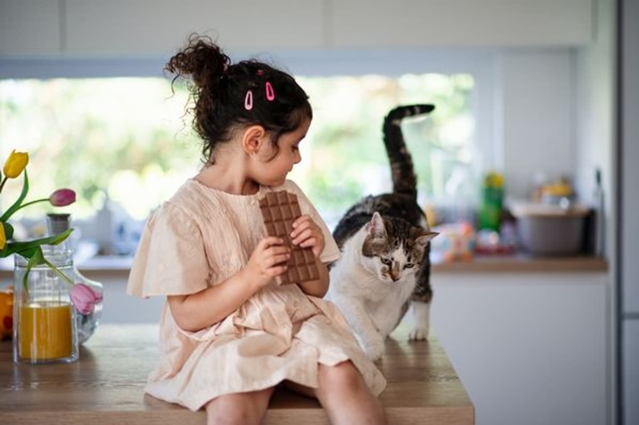 मुलांना शांत करण्यासाठी चॉकलेट देता? मुलांना शांत करण्यासाठी चॉकलेट देता?