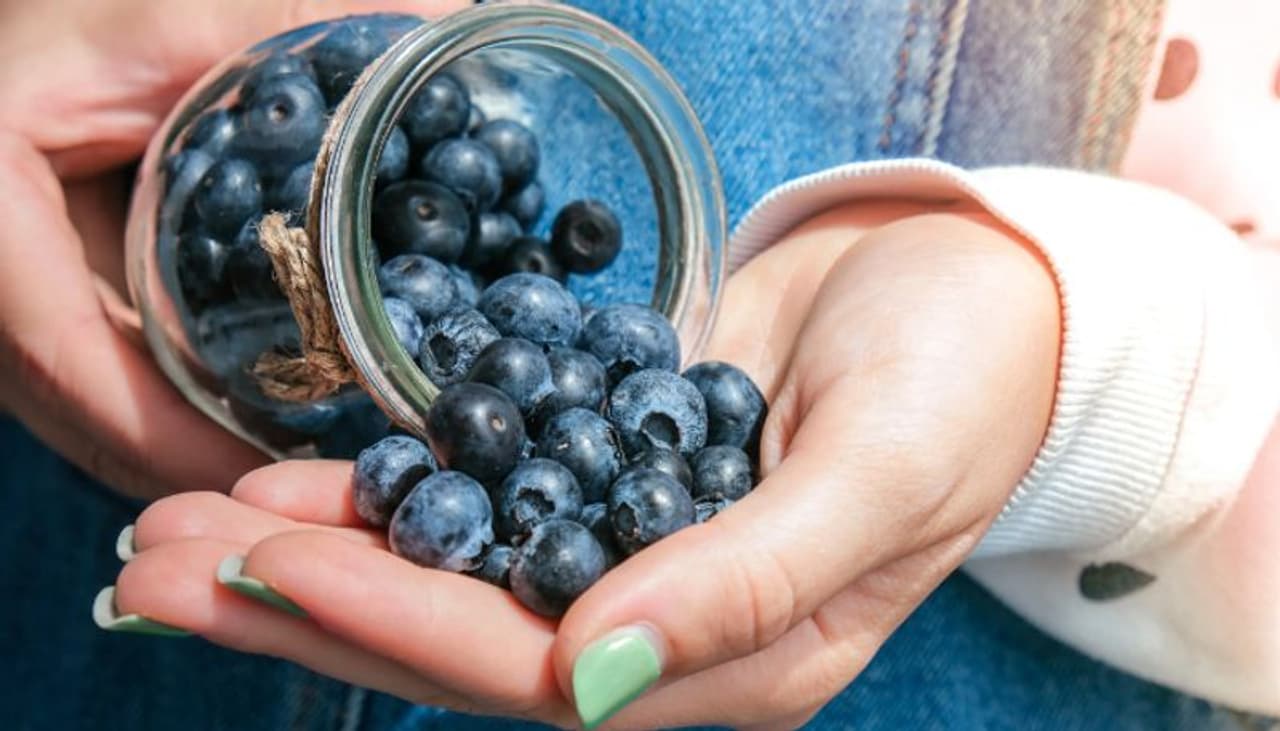 1. രോഗ പ്രതിരോധശേഷി 1. രോഗ പ്രതിരോധശേഷി