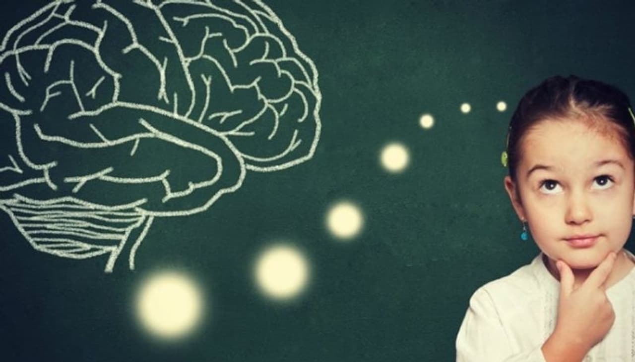 foods for brain foods for brain