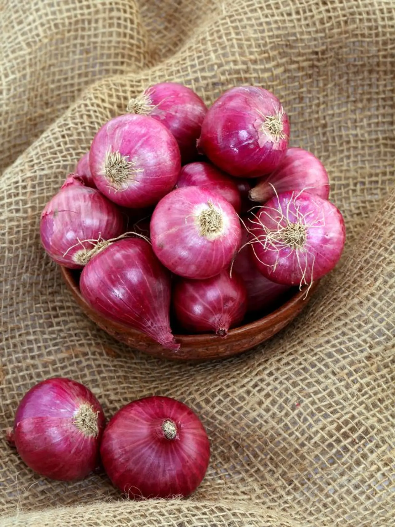 পেঁয়াজ অপরিহার্য পেঁয়াজ অপরিহার্য