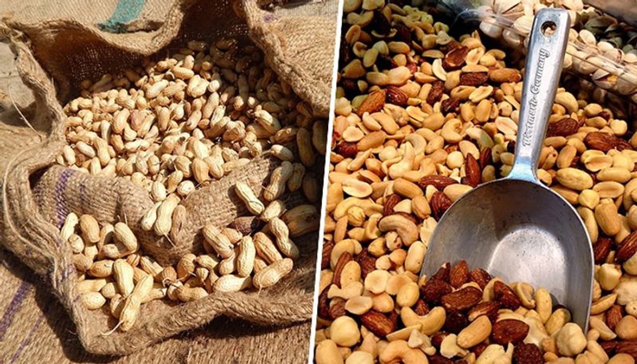 Mood enhancer to immunity support: 7 benefits of eating peanuts in Winter Mood enhancer to immunity support: 7 benefits of eating peanuts in Winter