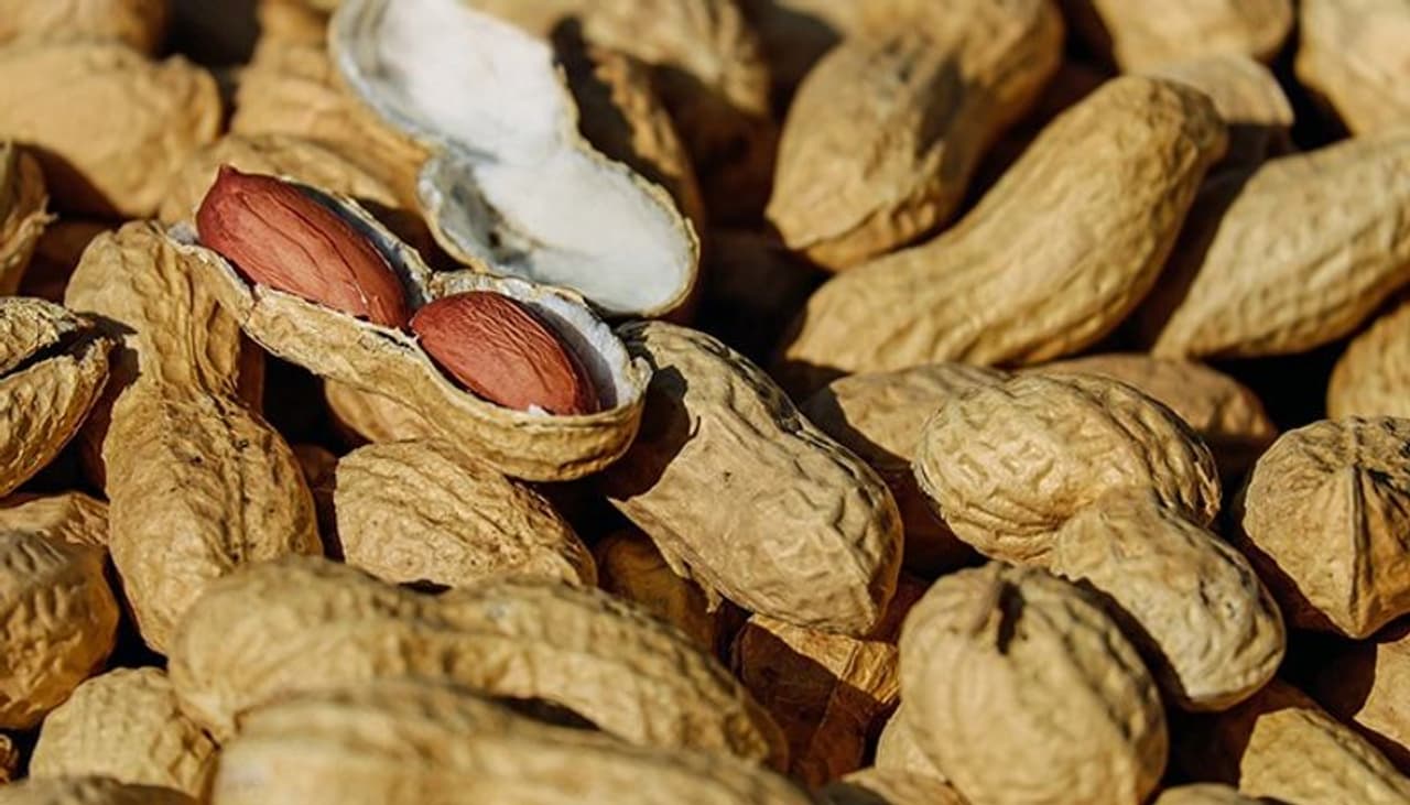 Peanut Allergy In Tamil