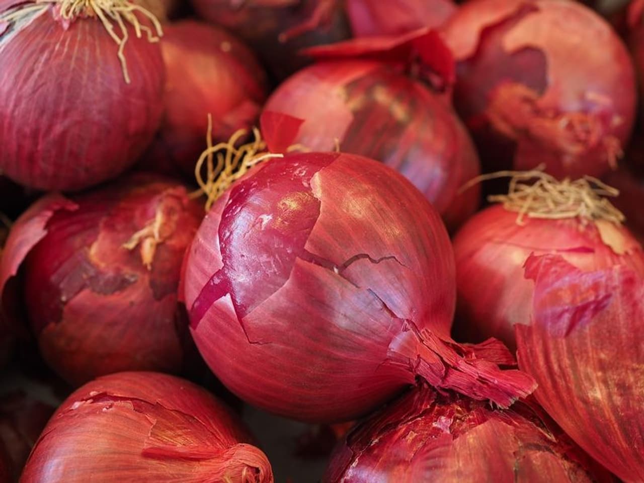 onion health benefits in tamil onion health benefits in tamil