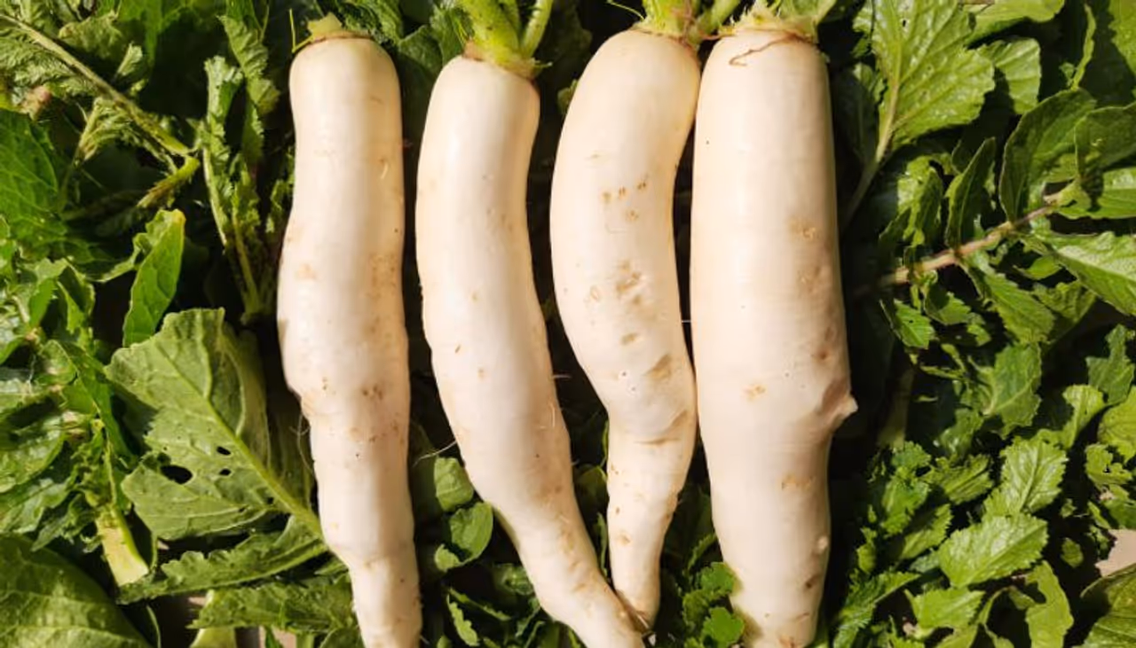 Radish Health Benefits