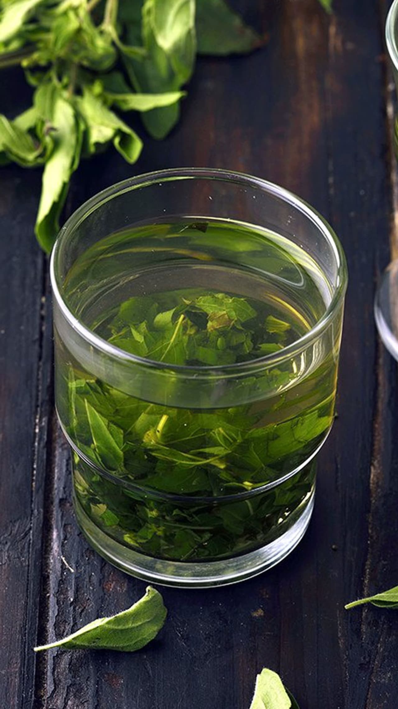 Tulsi Water Health Benefits in Tamil