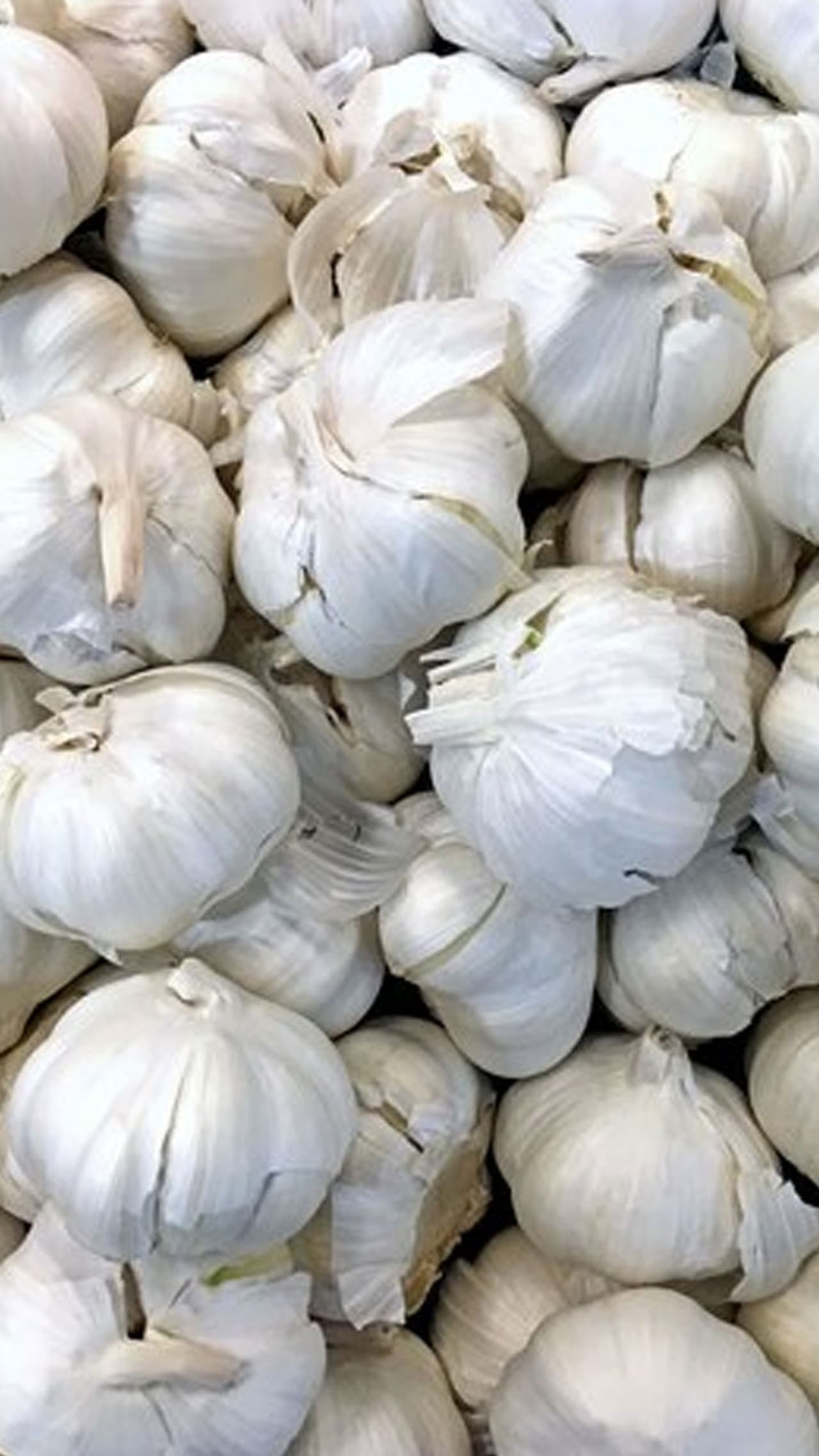 রসুনের টোটকা রসুনের টোটকা