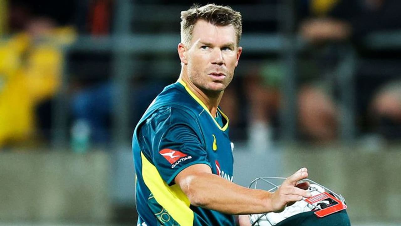 David Warner David Warner