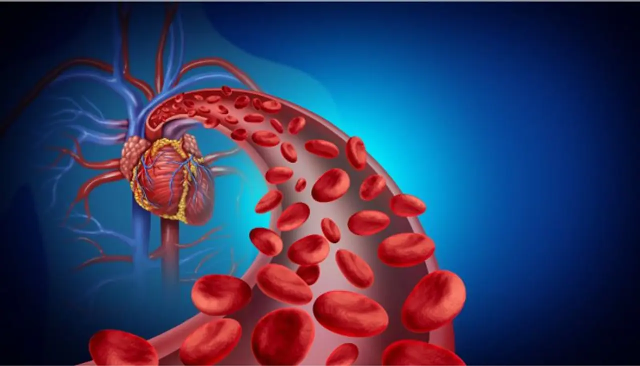 ശരീരത്തിലെ രക്തയോട്ടം മെച്ചപ്പെടുത്താന് കഴിക്കേണ്ട ഭക്ഷണങ്ങള് ശരീരത്തിലെ രക്തയോട്ടം മെച്ചപ്പെടുത്താന് കഴിക്കേണ്ട ഭക്ഷണങ്ങള്