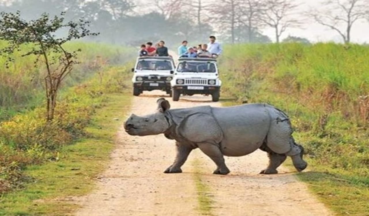 गुवाहाटी में है ये खतरनाक काजीरंगा अभ्यारण्य गुवाहाटी में है ये खतरनाक काजीरंगा अभ्यारण्य