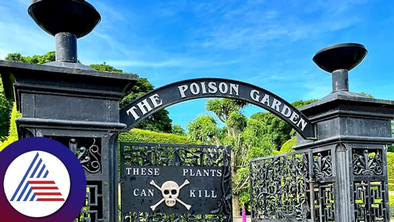 Most Deadliest Garden Most Deadliest Garden