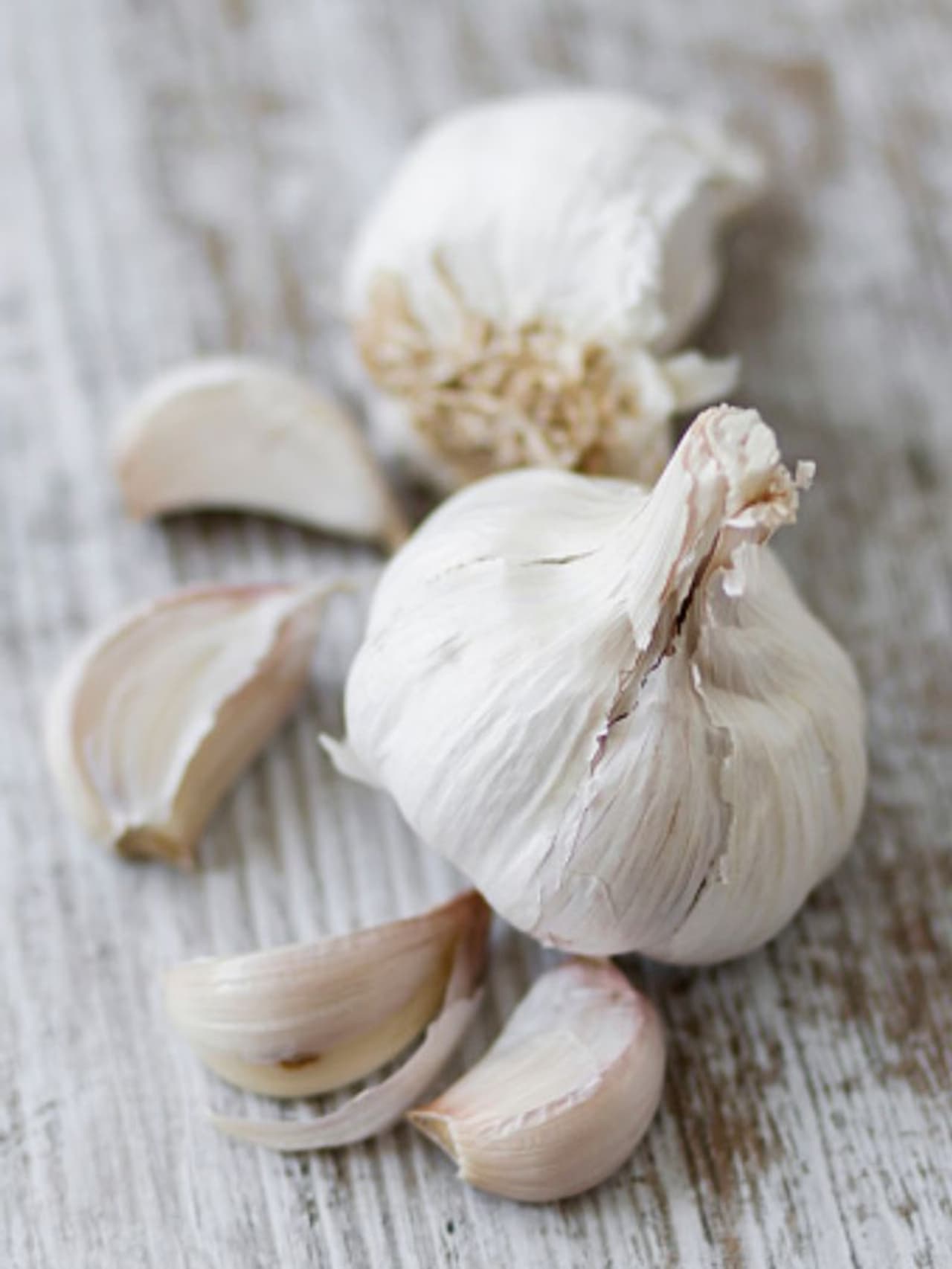 garlic garlic