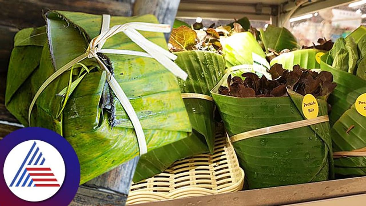 Banana leaves packaging Banana leaves packaging