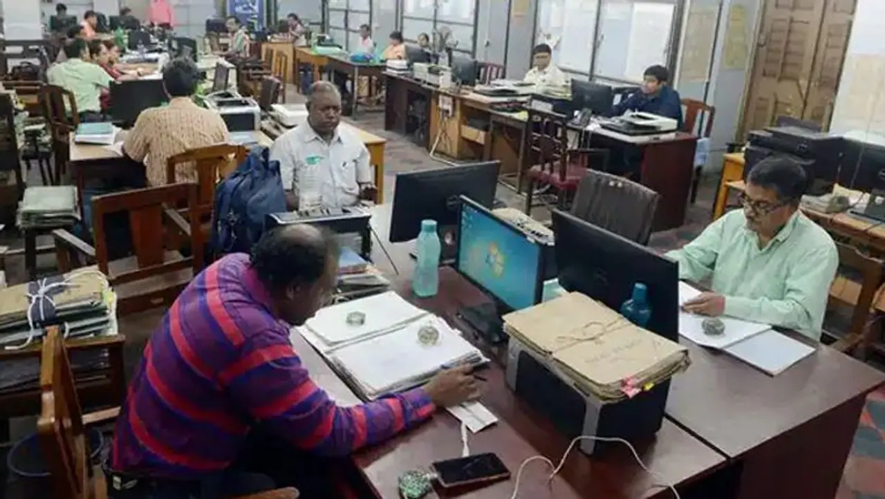 Government Employee Government Employee