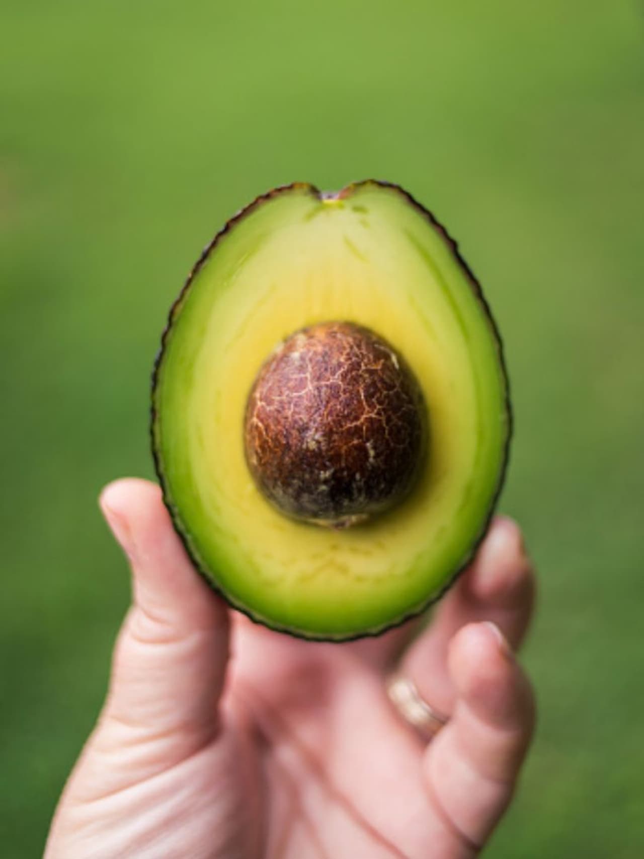 Avocado