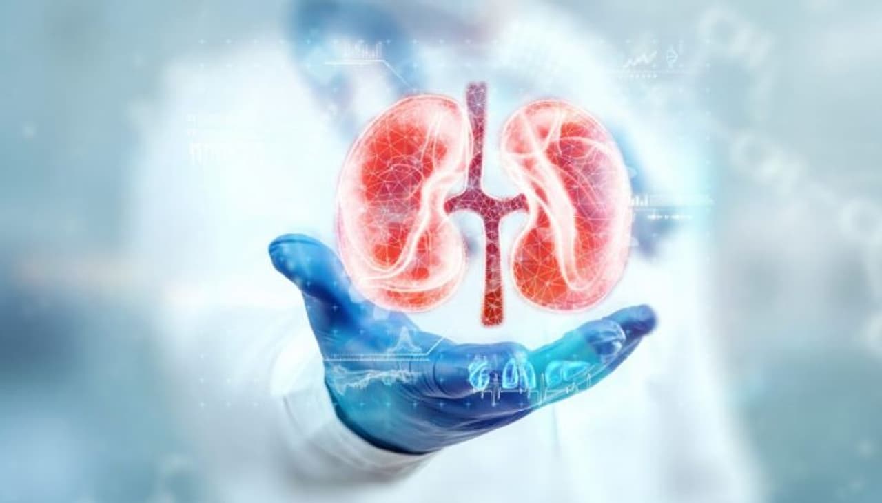 kidney health kidney health