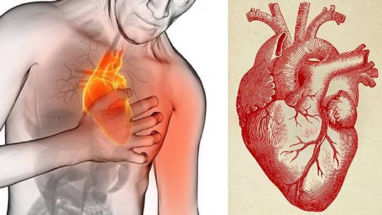 symptoms of heart disease symptoms of heart disease