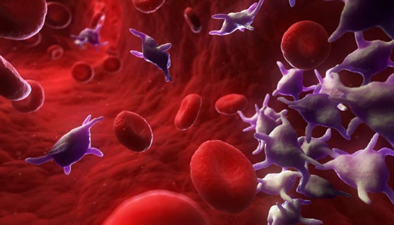 blood platelet count blood platelet count