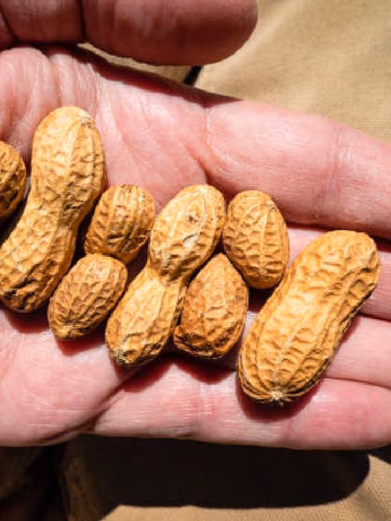 ಅನೇಕ ರೋಗಗಳನ್ನ ಬರದಂತೆ ತಡೆಯುತ್ತೆ 