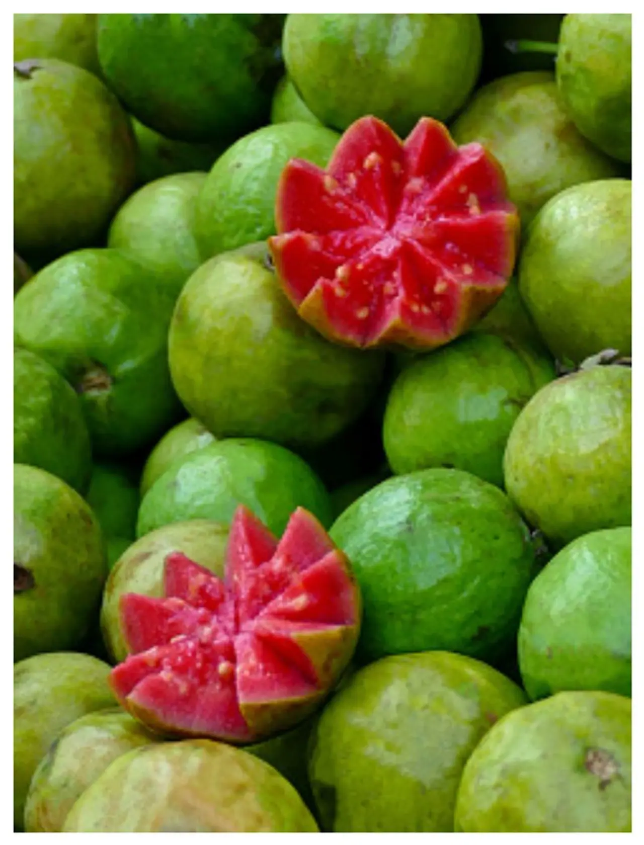 পেয়ারা খেলে কী কী হয়? পেয়ারা খেলে কী কী হয়?