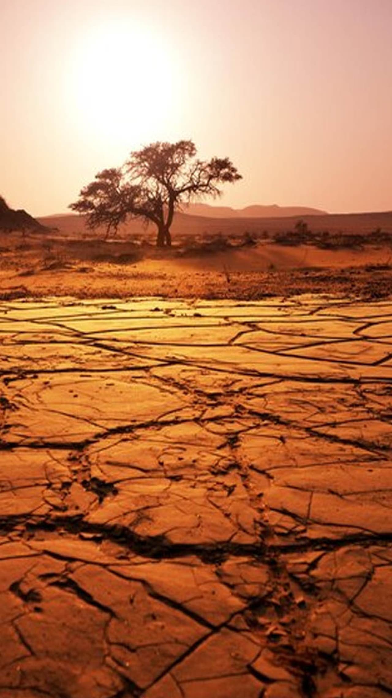 মৌসুমি বায়ুর প্রভাব বর্ষা মৌসুমি বায়ুর প্রভাব বর্ষা