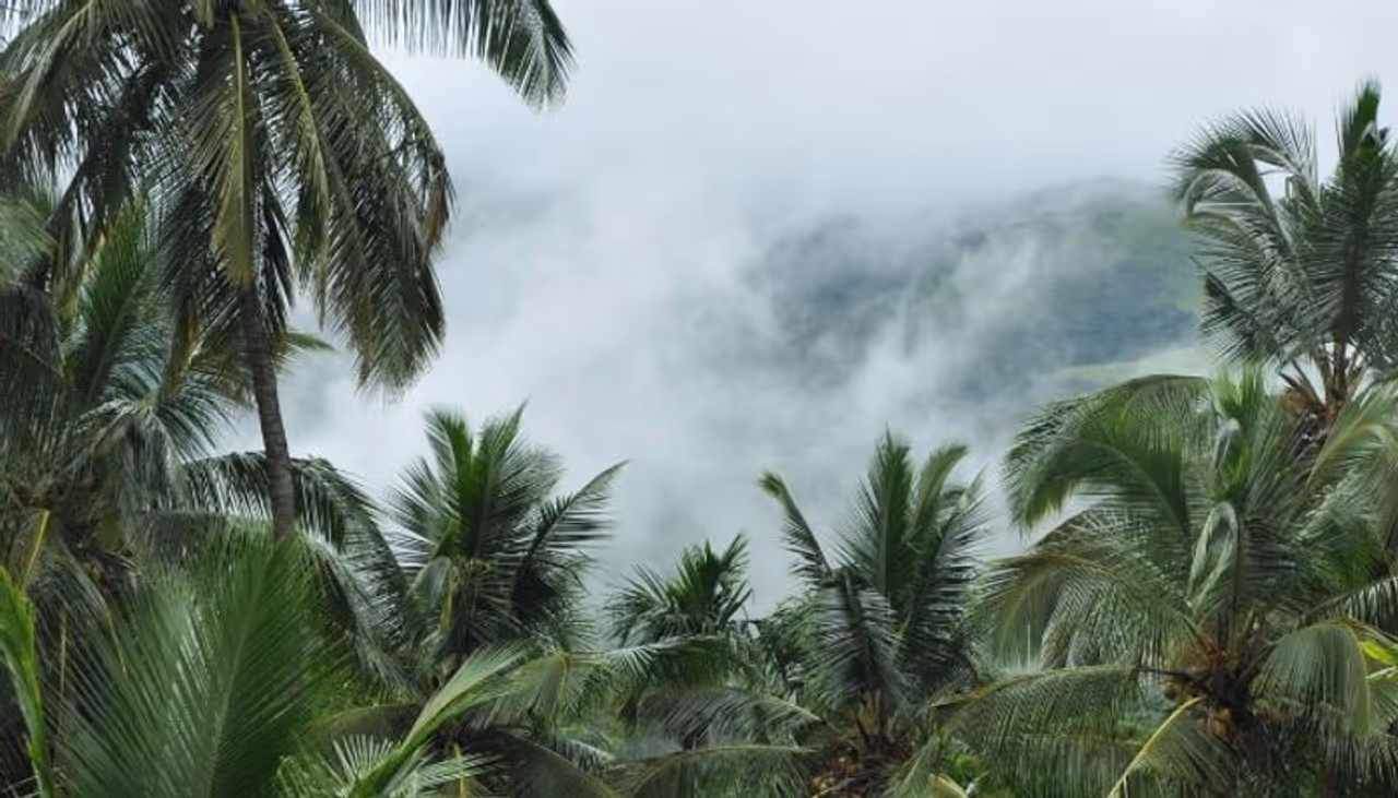 PC: Vighnesh Bhootanakadu, Kannadaprabha PC: Vighnesh Bhootanakadu, Kannadaprabha