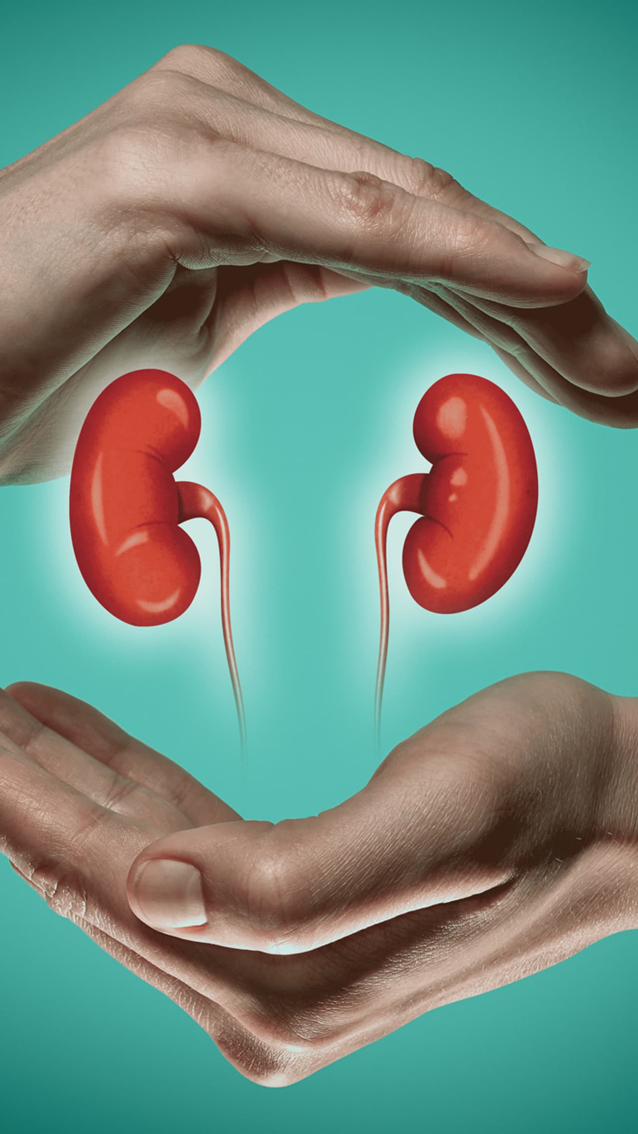 Kidney