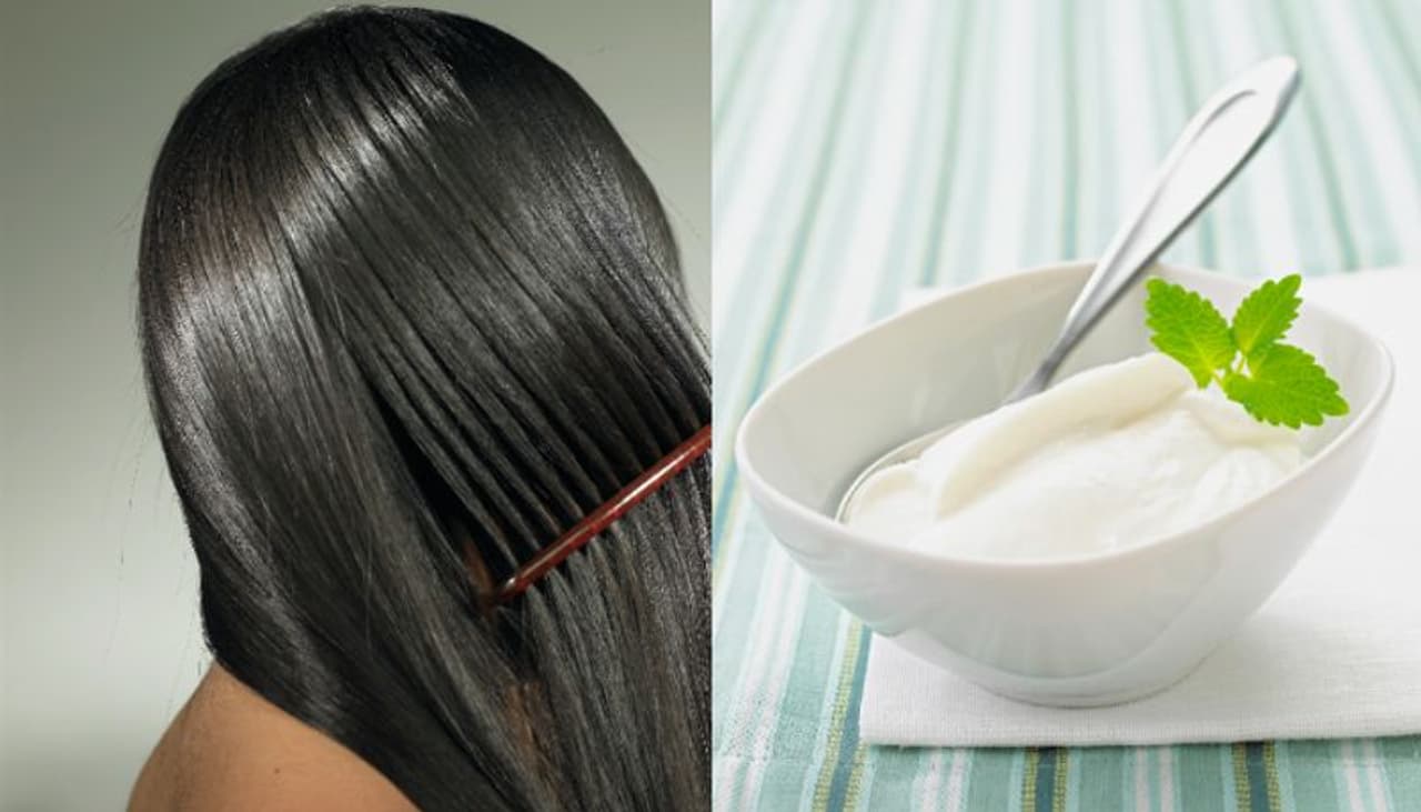 Benefits of Curd for Hair Benefits of Curd for Hair