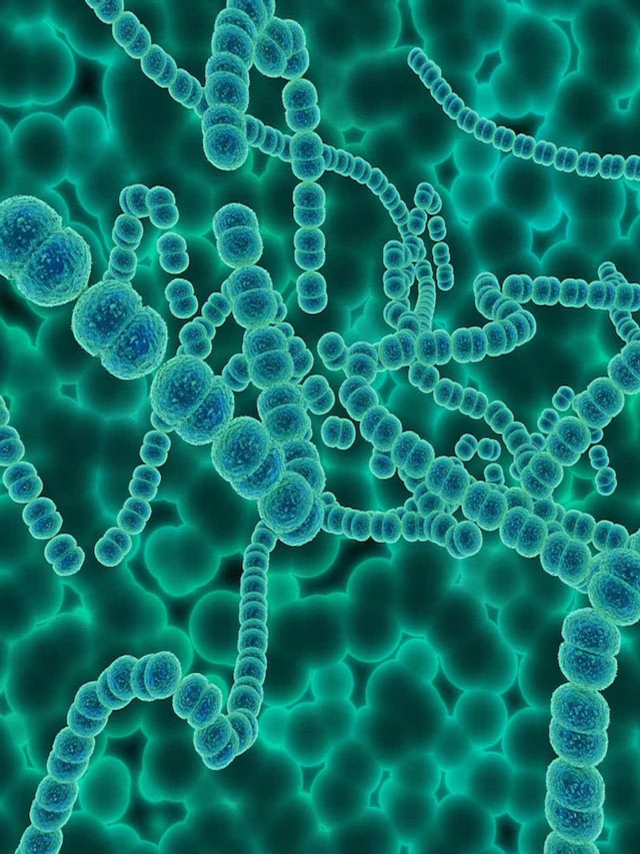 பாக்டீரியாக்கள்