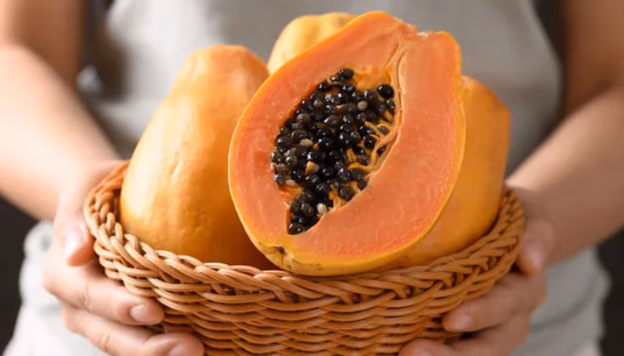 Papaya Seeds Papaya Seeds