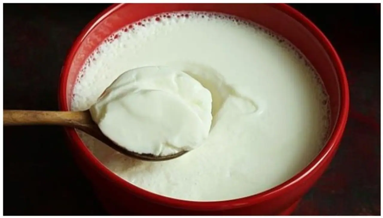 curd at night good or bad in tamil