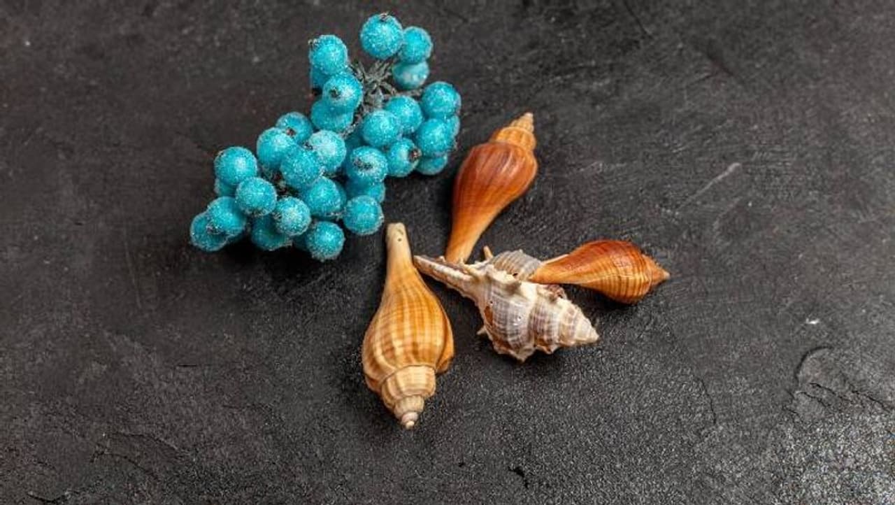 लंग्स मसल्स होते हैं मजबूत लंग्स मसल्स होते हैं मजबूत