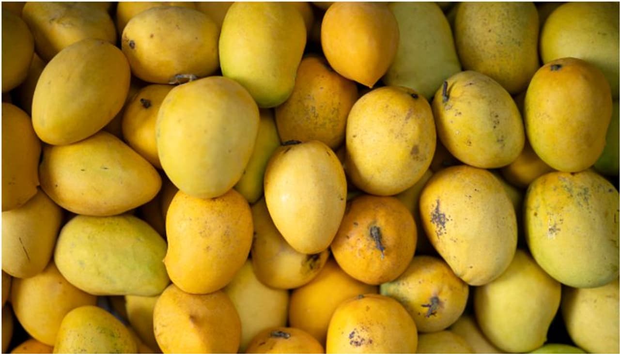 What are fake mangoes? What are fake mangoes?