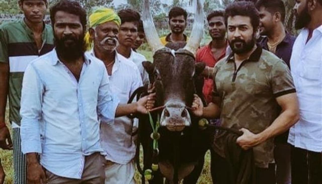 Vaadivaasal Latest update Vaadivaasal Latest update