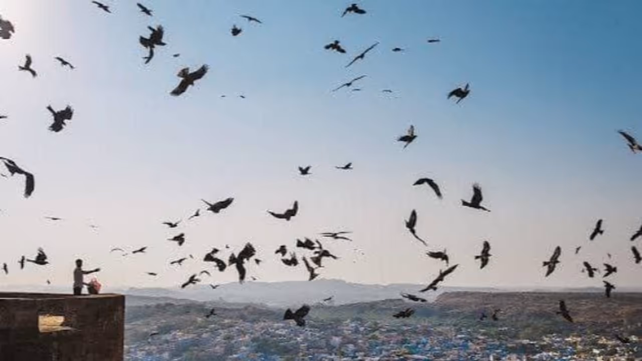 मेहरानगढ़ किले को देखने आते हैं लाखों पर्यटक मेहरानगढ़ किले को देखने आते हैं लाखों पर्यटक