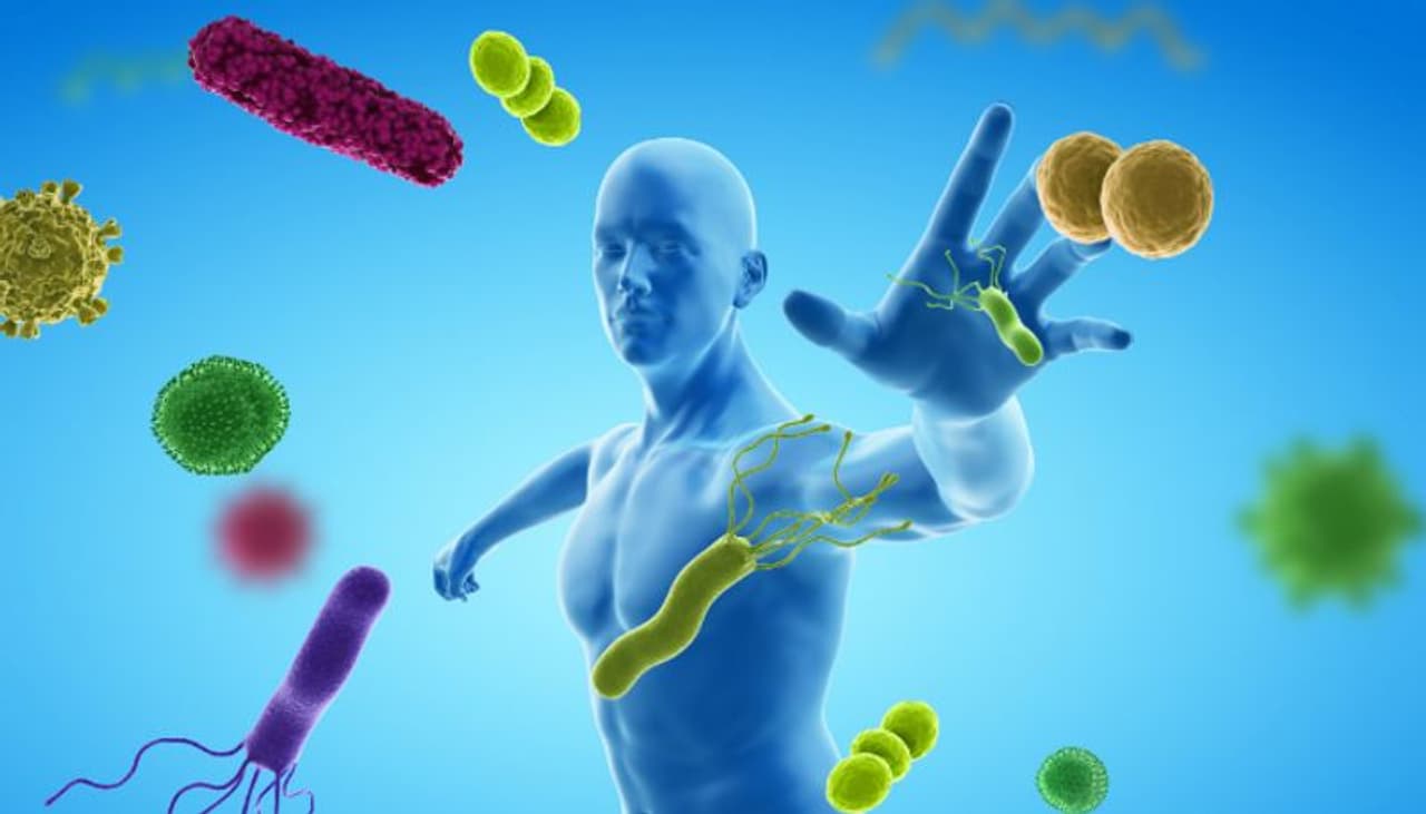 Immunity boosting foods