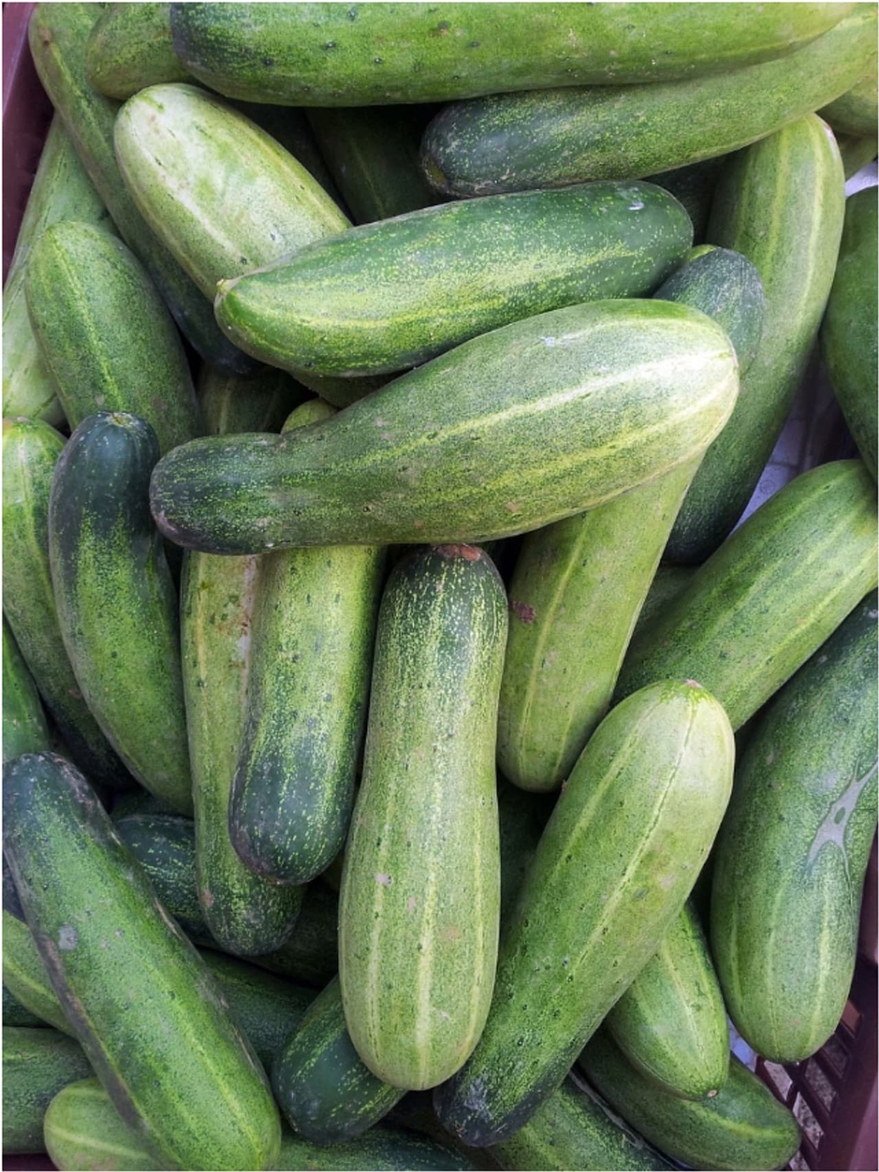 Cucumber: Fruit or vegetable?