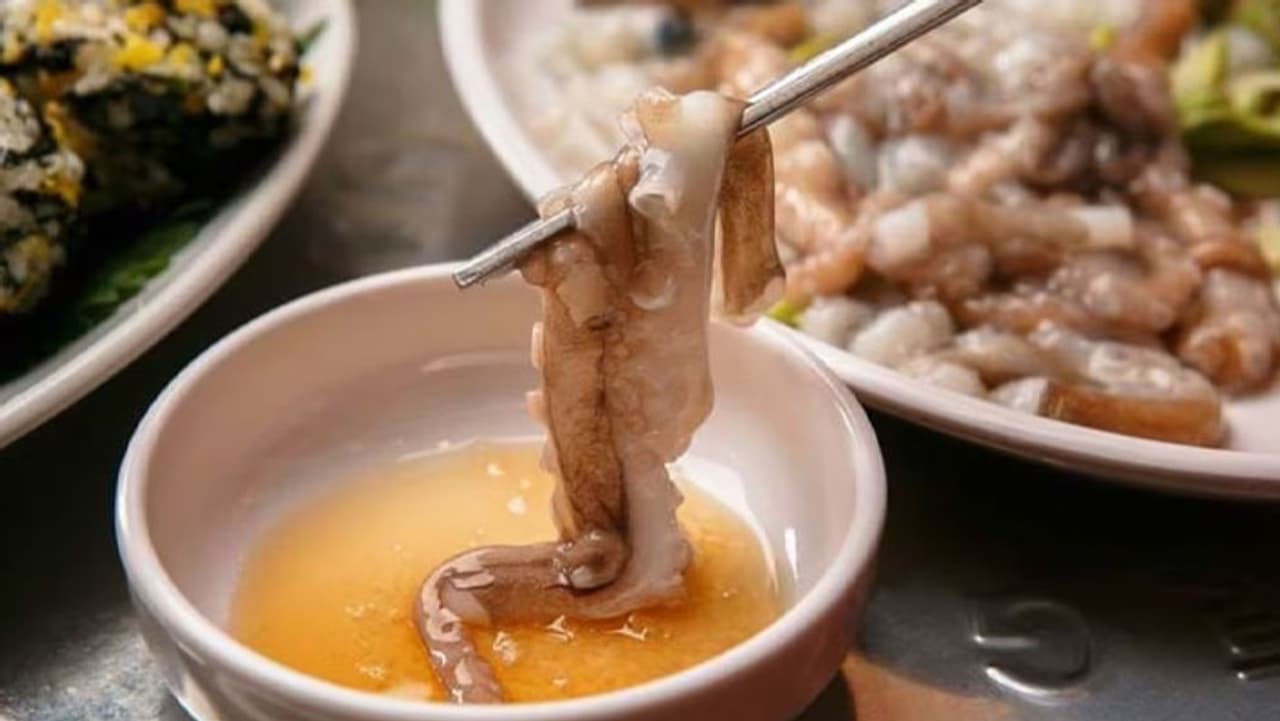 டெண்டக்கிள்ஸ், தென் கொரியா டெண்டக்கிள்ஸ், தென் கொரியா