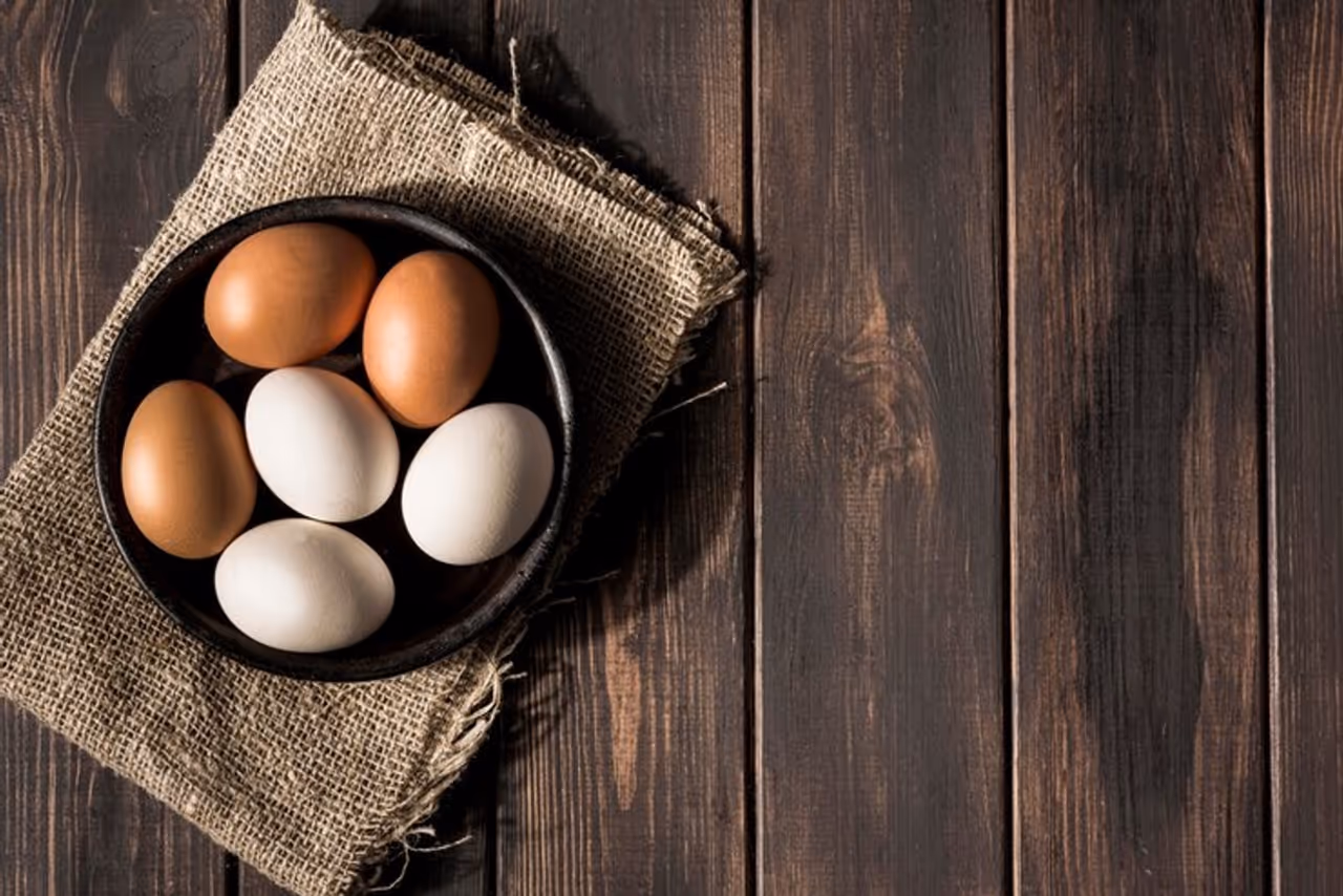 Real Egg vs Fake Egg