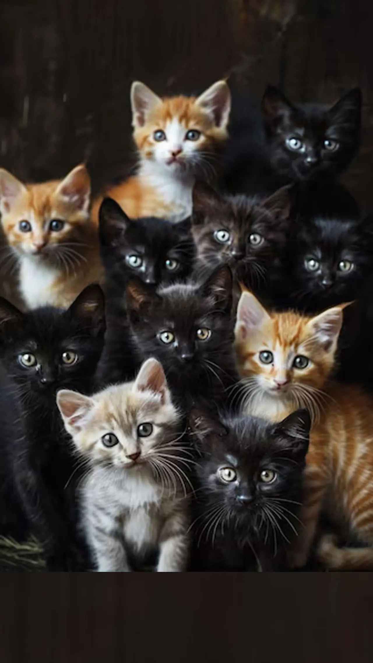 वास्तुशास्र टिप्स