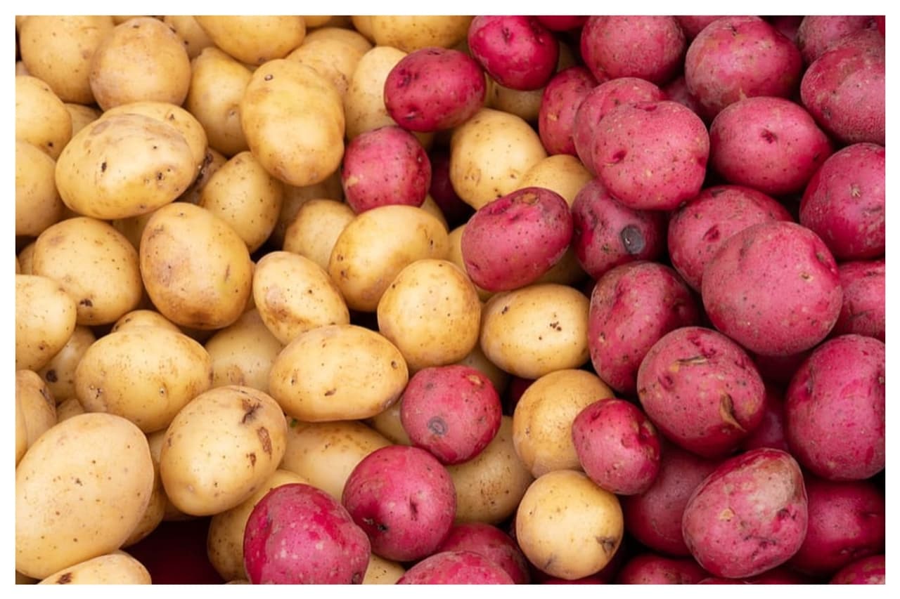 உருளைக்கிழங்கு சாப்பிட்டால் உண்மையில் உடல் எடை அதிகரிக்குமா?