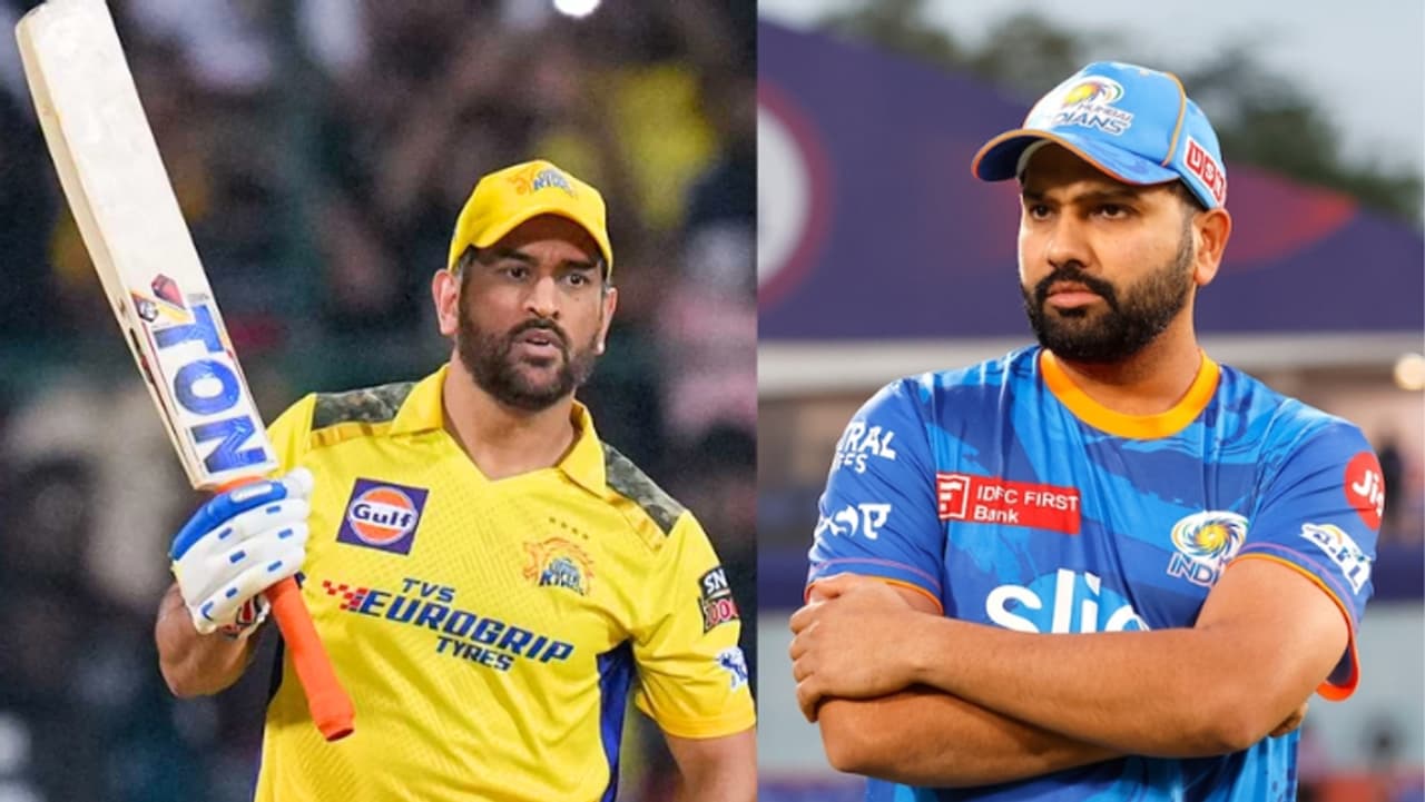 Ms Dhoni Bat Price Ms Dhoni Bat Price