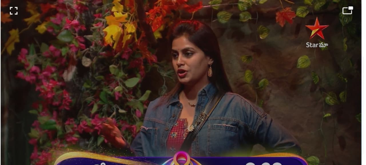 Bigg Boss Telugu Season 8