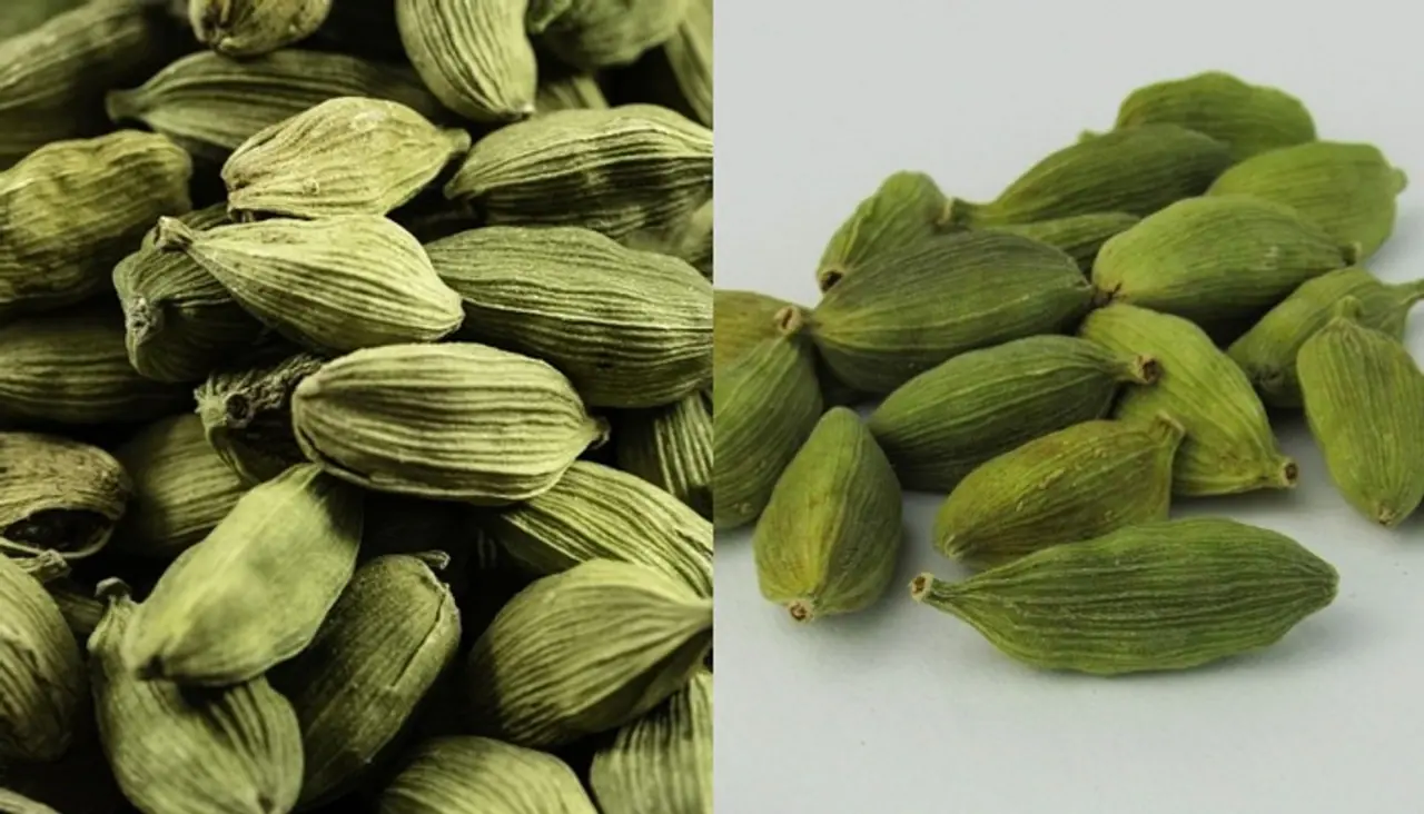 Cardamom