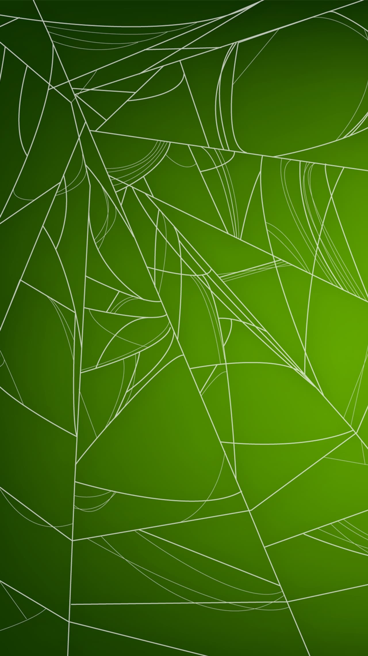 Tips To Rid Off Spider