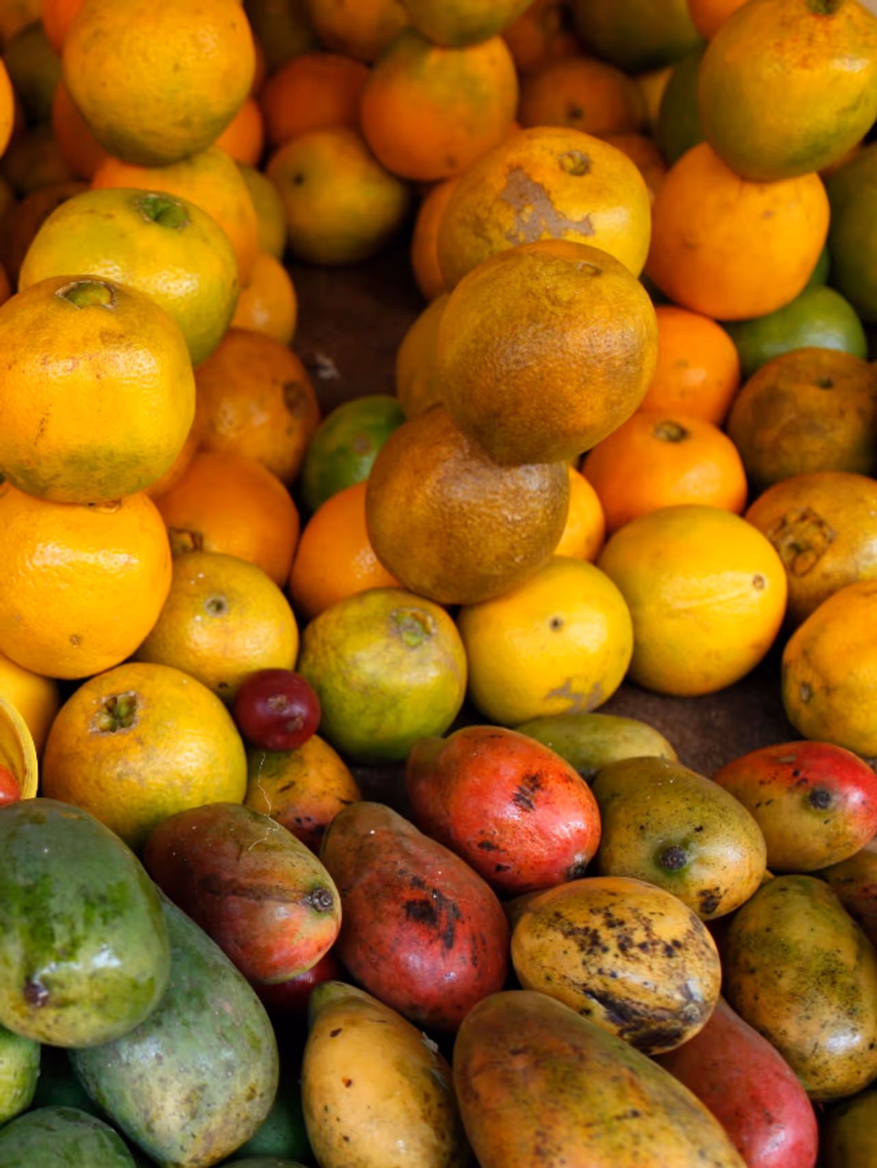 స్మార్ట్ టిప్ తో ఏడాదిపాటు మామిడిపళ్లు స్మార్ట్ టిప్ తో ఏడాదిపాటు మామిడిపళ్లు