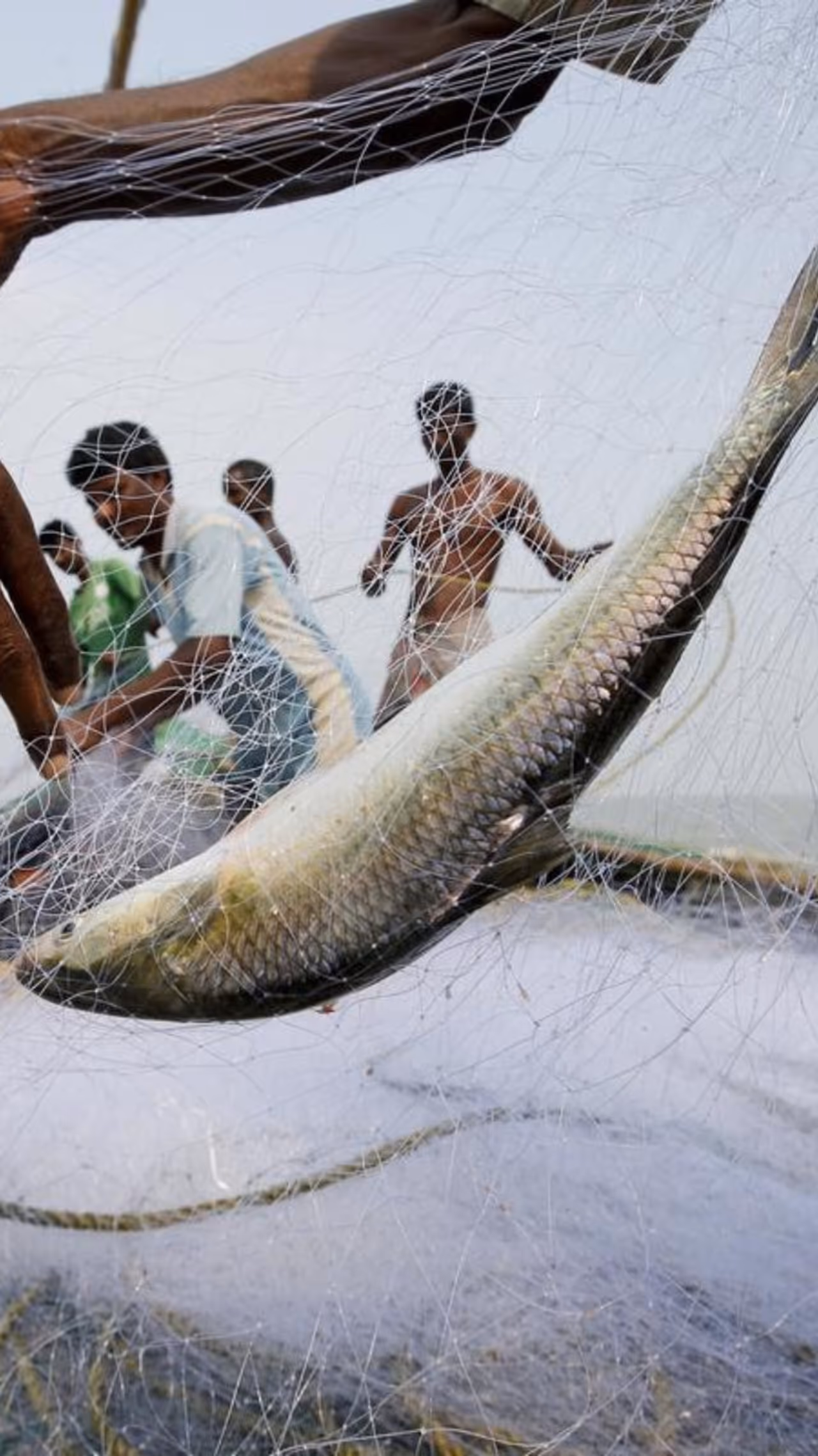 ವಿಶ್ವಾದ್ಯಂತ ಚರ್ಚೆಯ ವಿಷಯ ವಿಶ್ವಾದ್ಯಂತ ಚರ್ಚೆಯ ವಿಷಯ